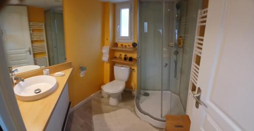 une salle de bain avec une douche, des toilettes et un lavabo dans l'établissement 2 étoiles - Résidence Loisirs, à Saint-Pierre-dʼOléron
