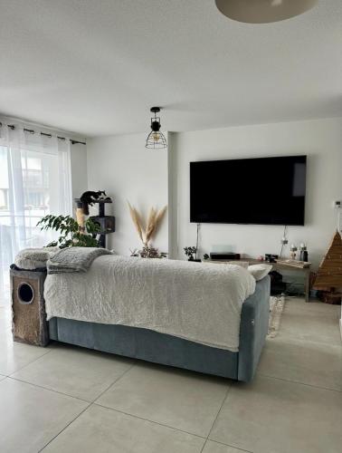 une chambre avec un lit et une télévision à écran plat dans l'établissement Appartement calme avec vue lac, à Excenevex