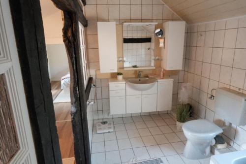 een kleine badkamer met toilet en wastafel bij Ferienhaus Fachwerklust in der Eifel in Mechernich