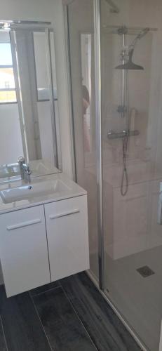 une salle de bain avec un lavabo blanc et une douche dans l'établissement Appartement 2 chambres proche mer et centre ville, à Bretignolles-sur-Mer
