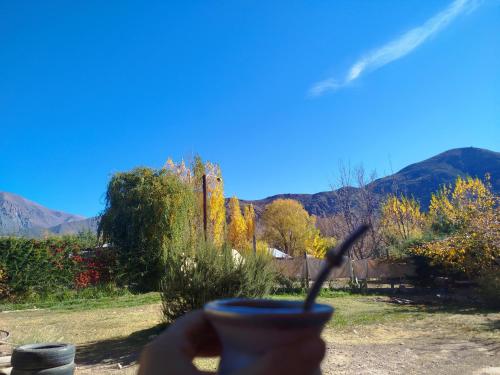 a hand holding a cup of coffee with mountains in the background at Complejo de Cabañas Tierra de Luna in Potrerillos