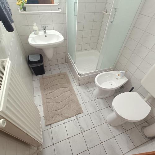 a bathroom with a toilet and a sink and a shower at Villa Mátis in Balatonederics