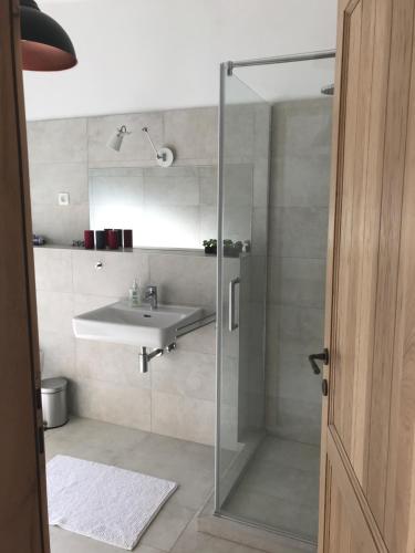 a bathroom with a glass shower and a sink at Holiday house Anna in Veli Iž