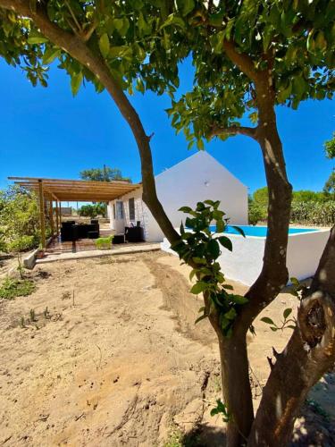 a tree in front of a house on the beach at Idyllic, Charming Quinta das Laranjeiras in Alcácer do Sal
