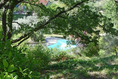 une piscine au milieu d'une cour arborée dans l'établissement Les Restanques de la Baucoué - Dépendance, à Roquevaire