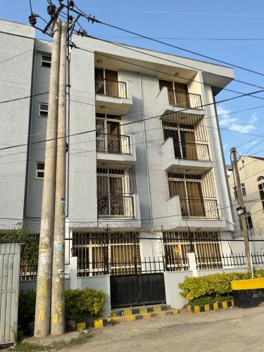 Luxurious Bole Apartment