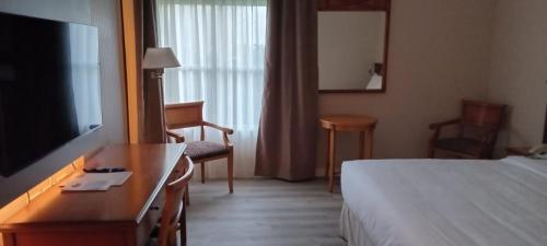 Elegance Hotel في تريس آرويوس: غرفة فندق بها سرير ومكتب وتلفزيون