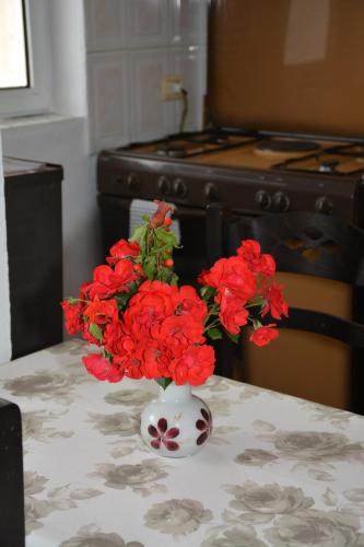 a vase filled with red flowers sitting on a table at Guesthouse Odobashi in Çorovodë