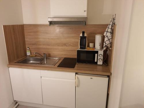 une petite cuisine avec un évier et un micro-ondes dans l'établissement les delices rooms-loveroom white, à Angers