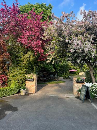 a garden with pink flowering trees and bushes at The Angel Inn in Thirsk