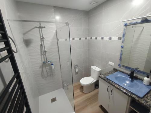 a bathroom with a shower and a sink and a toilet at La Casina San Román de la Vega in San Justo de la Vega