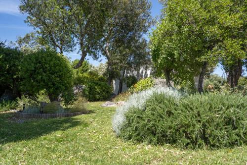 Zahrada ubytování Casa vacanze Olbia - ALEBEA -