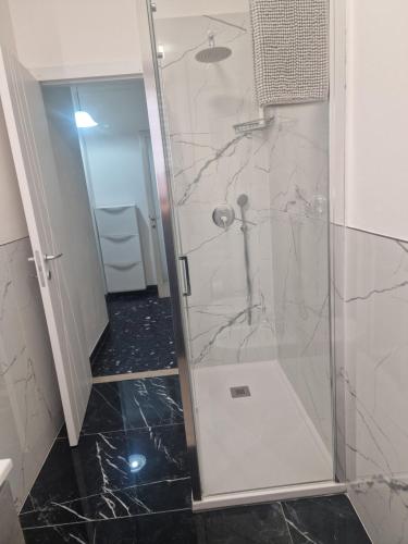 a shower with a glass door in a bathroom at PORTA A MARE STATION in Pisa