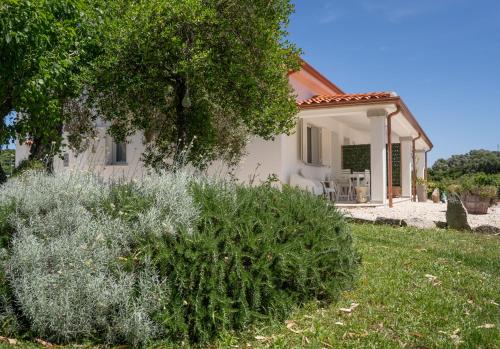 Zahrada ubytování Casa vacanze Olbia - ALEBEA -