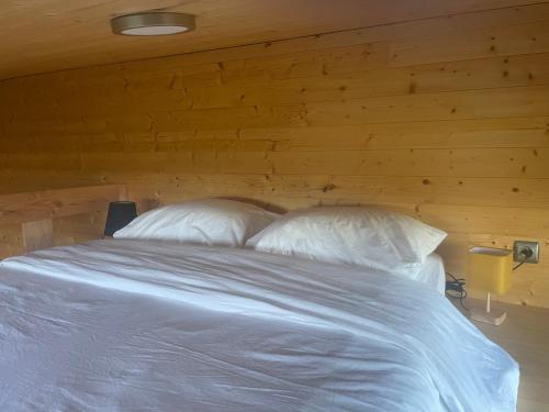 Tiny House en bois
