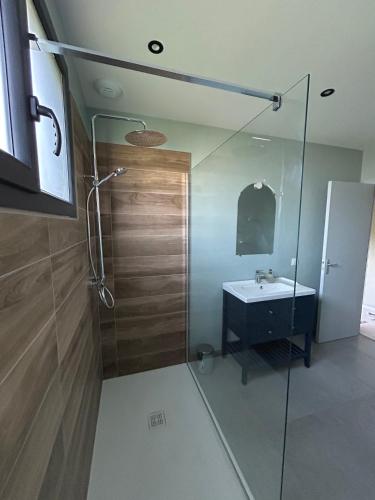 une salle de bain avec un lavabo et une douche en verre dans l'établissement Refuge nature de Aumontzey, à Granges-Aumontzey