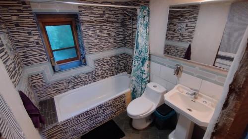 a bathroom with a toilet and a sink at Cabaña rustica en los Lleuques in Recinto
