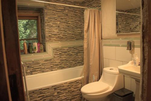 a bathroom with a toilet and a tub and a sink at Cabaña rustica en los Lleuques in Recinto
