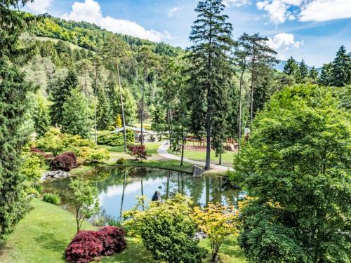 a view of a garden with a pond at Apartment Carli by Interhome in Campo Lomaso