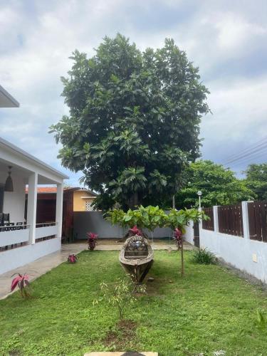 a tree in a yard next to a house at Toti guest house 1 in São Tomé