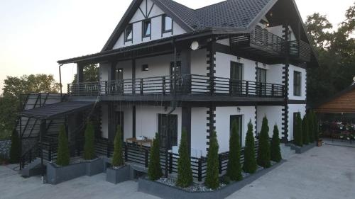 Afbeelding uit fotogalerij van Pensiunea VERA&MIR in Huşi