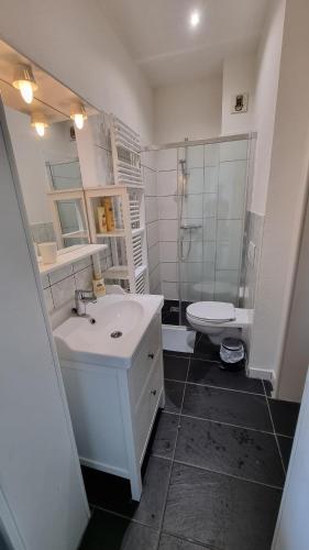 une salle de bain blanche avec un lavabo et des toilettes dans l'établissement Mulhouse gare, au bout du quai, à Mulhouse