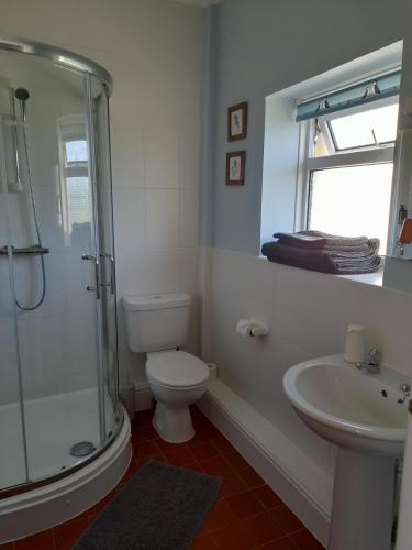 a bathroom with a shower and a toilet and a sink at North Headborough in Haverfordwest