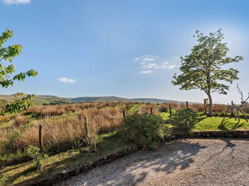 a gravel road with a tree and a fence at 2 Bed in Kirby Stephen SZ265 in Ravenstonedale