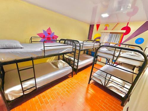 a group of bunk beds in a room with graffiti at Luz de Luna Escalante in San José