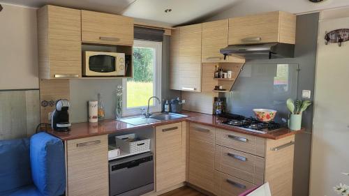 a kitchen with wooden cabinets and a sink and a microwave at L'échappée Verte in Chambellay