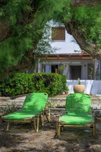 two green lawn chairs sitting under a tree at SOLE e MARE A1 in Koutsourás