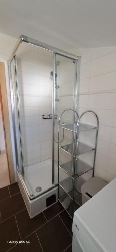 a shower with a glass door next to a toilet at Apartmani Brnada in Trogir