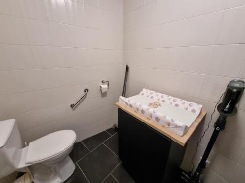 a white bathroom with a toilet and a sink at Le Petit Marais in Saint-Martin-lez-Tatinghem