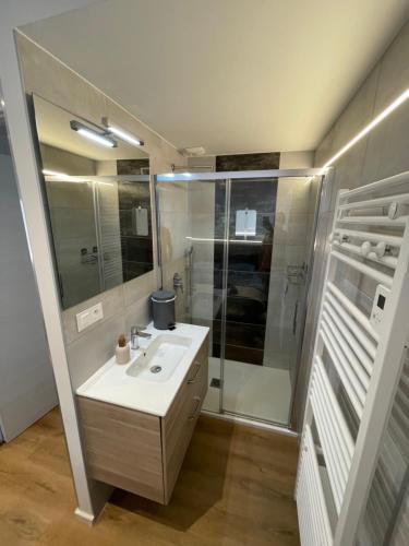 a bathroom with a sink and a shower at Cosy Le Ruisseau Des Lavaux in Pontarlier