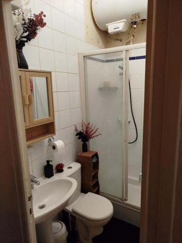 une salle de bain avec toilettes, douche et lavabo dans l'établissement Studio sympa meublé et équipé Paris Nation., à Paris