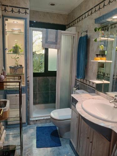 a bathroom with a toilet and a sink and a shower at Casa Paz in Nigrán