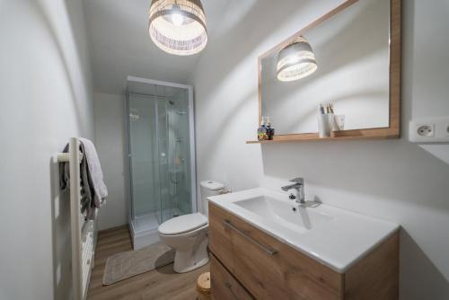 a bathroom with a sink and a toilet and a mirror at La Bégasserie Ancienne maison de maître de 1700 in Château-Larcher