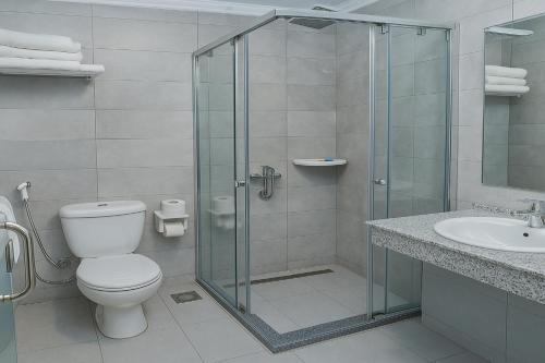 a bathroom with a shower and a toilet and a sink at Miramar Green Talaat harb in Cairo