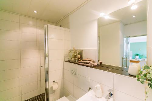 a bathroom with a shower and a sink and a mirror at Paradiesvogel - Zentral gelegenes Apartment in Paderborn Zentrum in Paderborn