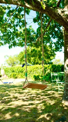 a swing hanging from a tree in a park at Quinta da Cumieira in Cumieira