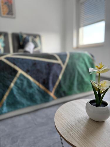a small plant sitting on top of a table at Apartment in Mönchengladbach - Self Check-in in Mönchengladbach