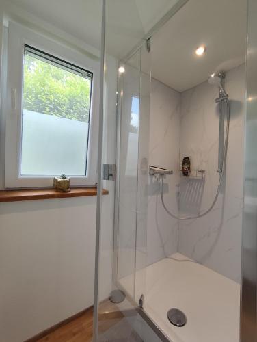 a bathroom with a shower with a glass door at Africando - Spa & Sauna in Rhisnes