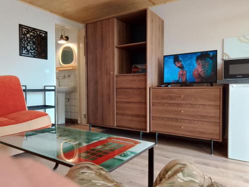TV a/nebo společenská místnost v ubytování Krynica Morska Piaski - studio a La domek