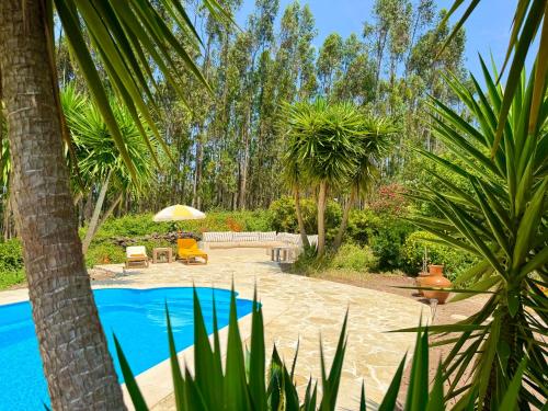 a resort with a pool and palm trees at Wellbeing guesthouse Casa é Connosco in Alvaiázere