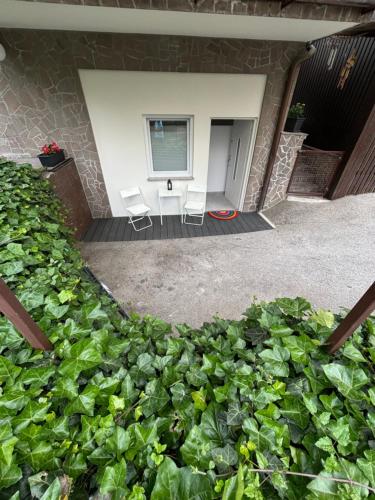 a room with two chairs and a bunch of plants at Apartment JANG in Tolmin