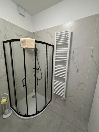 a shower with a glass door in a bathroom at Apartment JANG in Tolmin