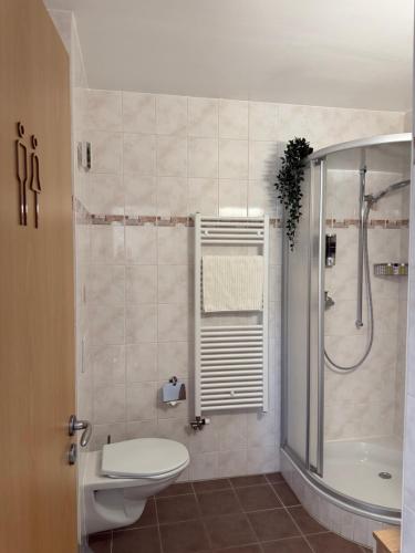 a bathroom with a shower and a toilet and a sink at Villa Lavaux in Grandvaux
