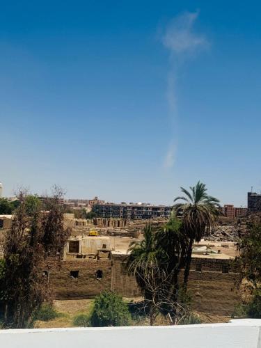 アスワンにあるSeko Kato Nile View Hostelのギャラリーの写真
