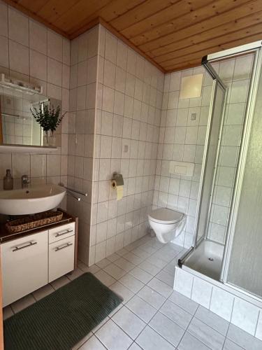 a bathroom with a toilet and a sink and a shower at Appartment Marcher in Kaprun