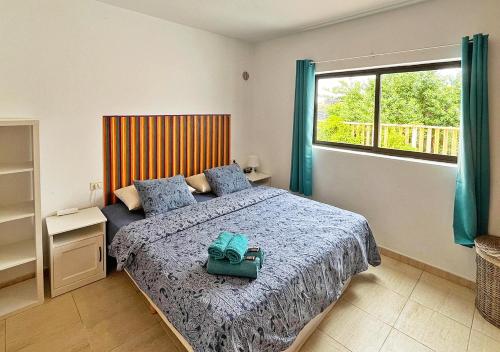 a bedroom with a bed with blue pillows and a window at Apartamento Arriba, Casa-la-Costa in La Costa